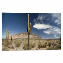 Desert Cacti, Argentina Rugs 42470802