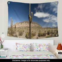 Desert Cacti, Argentina Wall Art 42470802