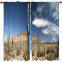 Desert Cacti, Argentina Window Curtains 42470802