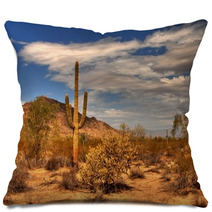 Desert Mountain Pillows 3125675