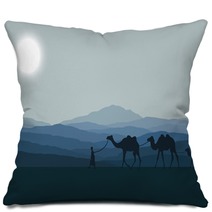 Desert Pillows 92073377