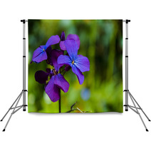 Detail Of Purple Flowers Backdrops 64467976