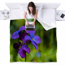 Detail Of Purple Flowers Blankets 64467976