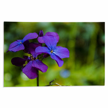 Detail Of Purple Flowers Rugs 64467976