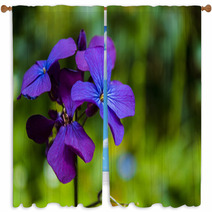 Detail Of Purple Flowers Window Curtains 64467976