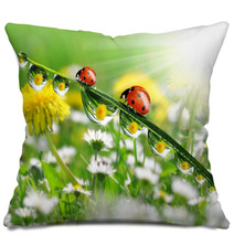 Dew Drops With Ladybugs Pillows 49712181