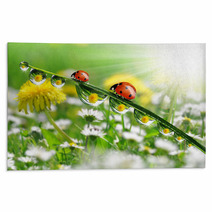 Dew Drops With Ladybugs Rugs 49712181