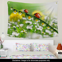 Dew Drops With Ladybugs Wall Art 49712181