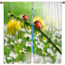 Dew Drops With Ladybugs Window Curtains 49712181