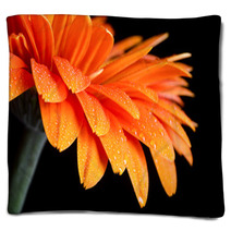Dew On Flower Blankets 52367012