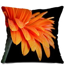 Dew On Flower Pillows 52367012