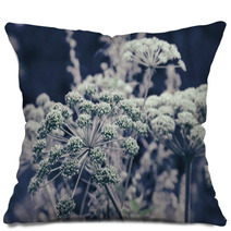 Dill Flower Umbels Background Pillows 71110684