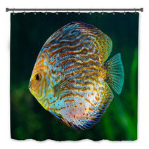 Discus, Tropical Decorative Fish Bath Decor 51789937