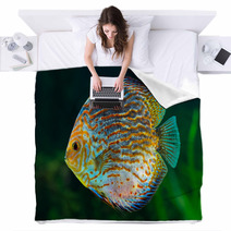 Discus, Tropical Decorative Fish Blankets 51789937