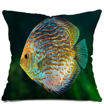 Discus, Tropical Decorative Fish Pillows 51789937