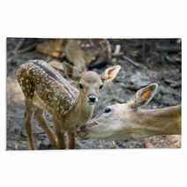 Doe Licks Her Fawn Rugs 53989202