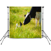 Dog Meets A Cow At Countryside Backdrops 67248677