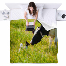 Dog Meets A Cow At Countryside Blankets 67248677