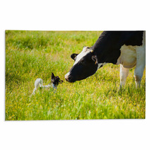 Dog Meets A Cow At Countryside Rugs 67248677