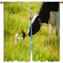 Dog Meets A Cow At Countryside Window Curtains 67248677