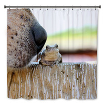 Dog Nose Sniffing Tree Frog Outside Bath Decor 84811941