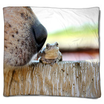 Dog Nose Sniffing Tree Frog Outside Blankets 84811941