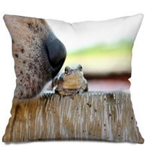 Dog Nose Sniffing Tree Frog Outside Pillows 84811941