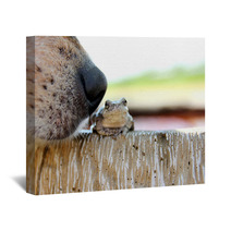 Dog Nose Sniffing Tree Frog Outside Wall Art 84811941
