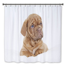 Dogue De Bordeaux Puppy (French Mastiff) Bath Decor 63585505