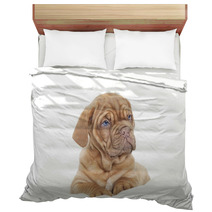 Dogue De Bordeaux Puppy (French Mastiff) Bedding 63585505