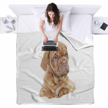 Dogue De Bordeaux Puppy (French Mastiff) Blankets 63585505