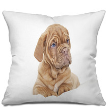 Dogue De Bordeaux Puppy (French Mastiff) Pillows 63585505