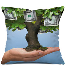 Dollar Tree Pillows 25454018