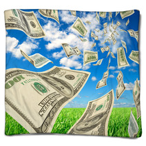 Dollars On Background Sky And Herbs. Blankets 50028180