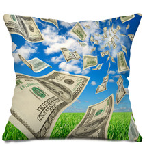 Dollars On Background Sky And Herbs. Pillows 50028180