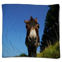 Donkey Blankets 93331268