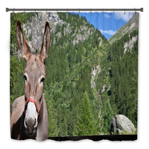 Donkey Close Up Bath Decor 95355635