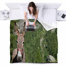 Donkey Close Up Blankets 95355635