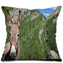 Donkey Close Up Pillows 95355635