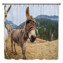 Donkey Close Up Portrait Looking At You Bath Decor 98835889