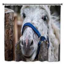Donkey Close Up Portrait Looking At You Bath Decor 98835931