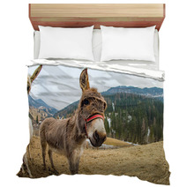 Donkey Close Up Portrait Looking At You Bedding 98835889
