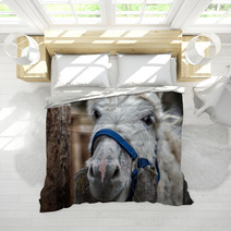 Donkey Close Up Portrait Looking At You Bedding 98835931