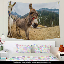 Donkey Close Up Portrait Looking At You Wall Art 98835889