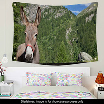 Donkey Close Up Wall Art 95355635