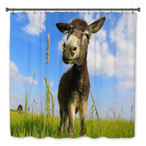 Donkey In A Field In Sunny Day Bath Decor 84570753