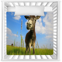 Donkey In A Field In Sunny Day Nursery Decor 84570753