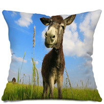 Donkey In A Field In Sunny Day Pillows 84570753