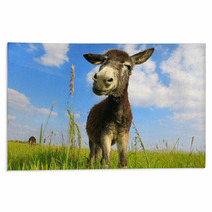 Donkey In A Field In Sunny Day Rugs 84570753