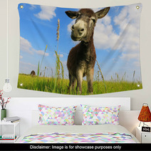 Donkey In A Field In Sunny Day Wall Art 84570753
